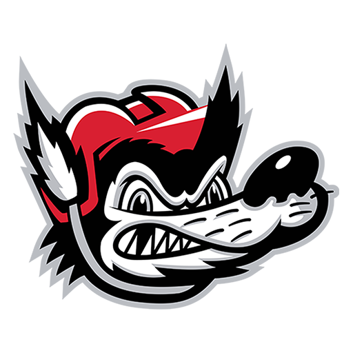 Team logo
